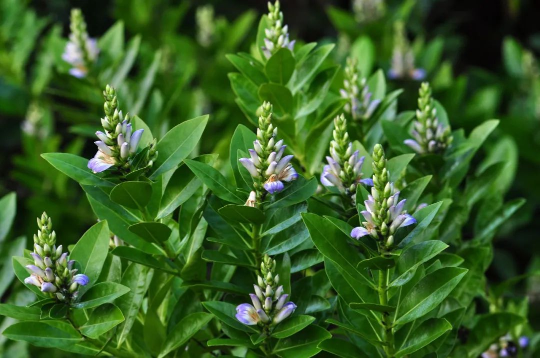 希望最终,深圳这座城仍然配得上它的市民|主流媒体_新浪网