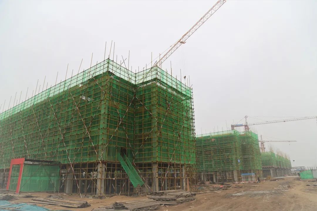 2020郸城一高全国排名_周口市四大高中2020高考成绩单,郸城一高继续领衔