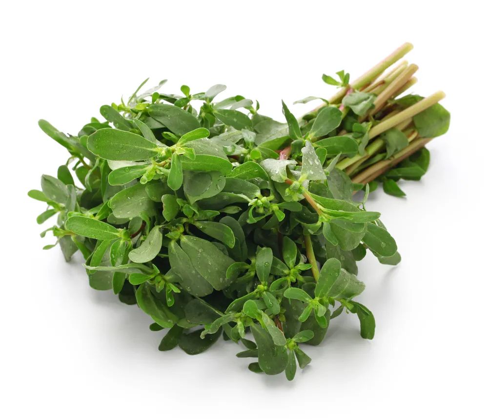 春天最该吃这3种菜,补肝养血,祛湿通便!全家越吃越健康|荠菜|春笋|马