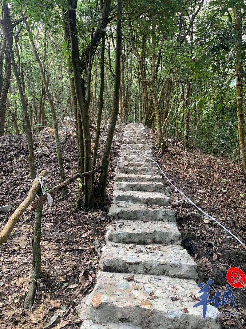 穿行在山林间的罗浮山古道(经修复) 罗浮山管委会 供图