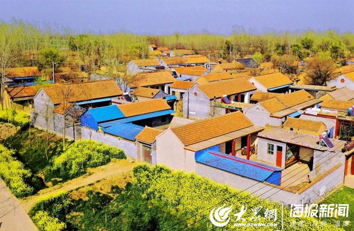 菏泽成武:爱在春天里,醉在白浮图