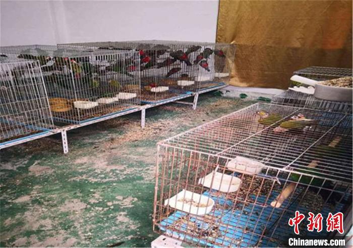 图为惠州市公安局惠城区分局缴获的非法收购、出售濒危野生动物。惠城区公安分局供图