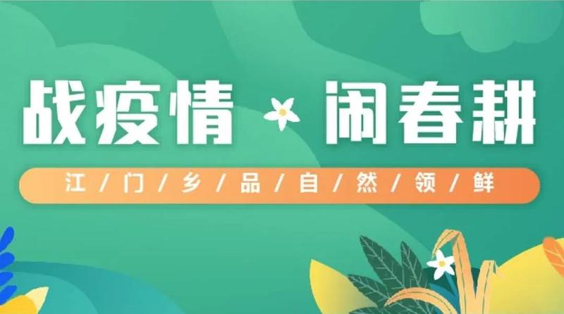 新会陈皮产区排名_新会陈皮|千亩柑源产区开放预售