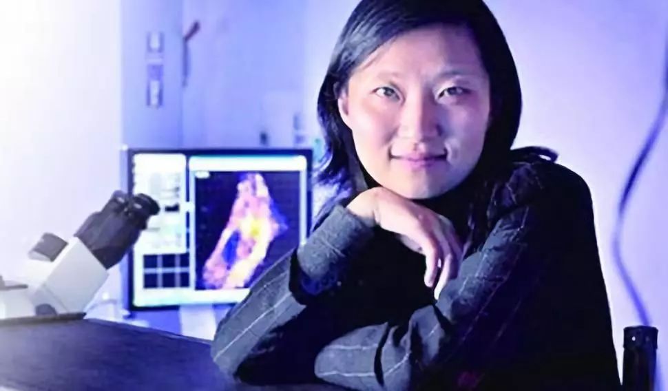 四,超级天才,哈佛大学最年轻华人正教授尹希,可谓是名副其实的天才,8