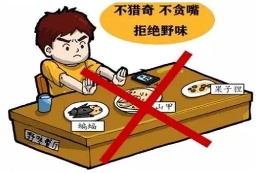 【知识】买回家的蔬菜会沾染病毒吗?记住这6个要点,食用更放心