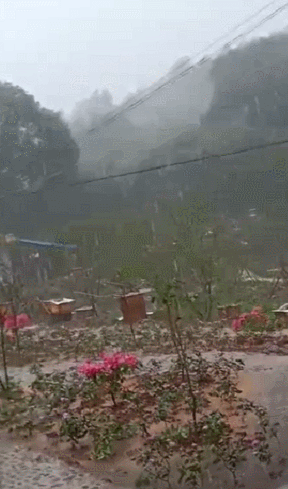 还有冰雹看看肇庆的大风大雨大风,暴雨,甚至冰雹……已经"交"了但