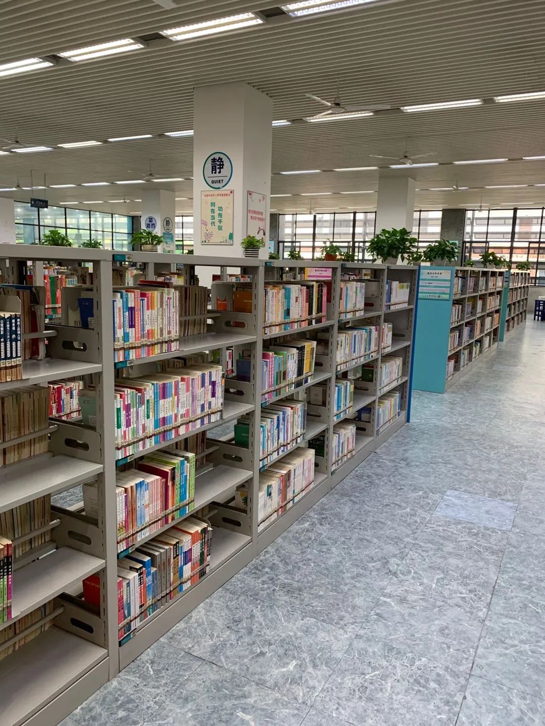 肇庆端州图书馆图片