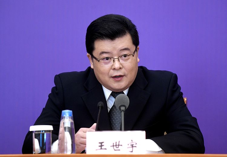 国家税务总局政策法规司副司长王世宇回答记者提问.