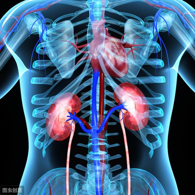 场"持久战",不想太早与肾衰竭碰面,注意这3点|肾衰竭|肾脏病_新浪新闻