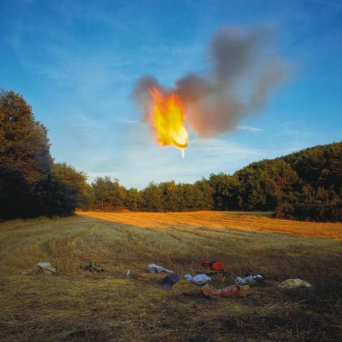 贝尔纳弗孔幸存者