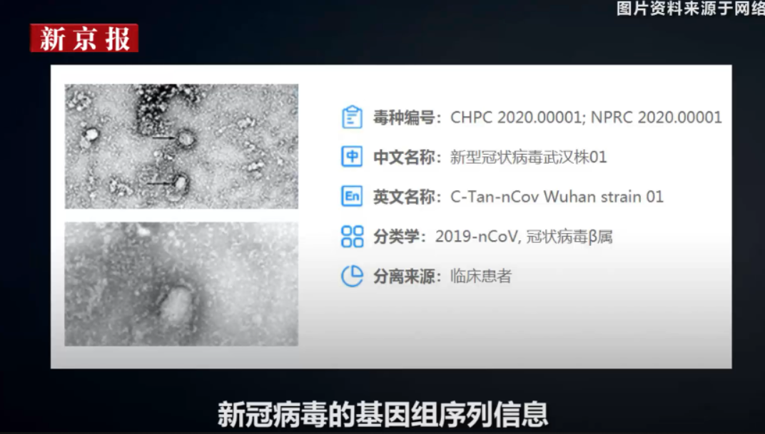 在疫情爆发的初期,中国科学家就在第一时间公布了新冠病毒的基因组