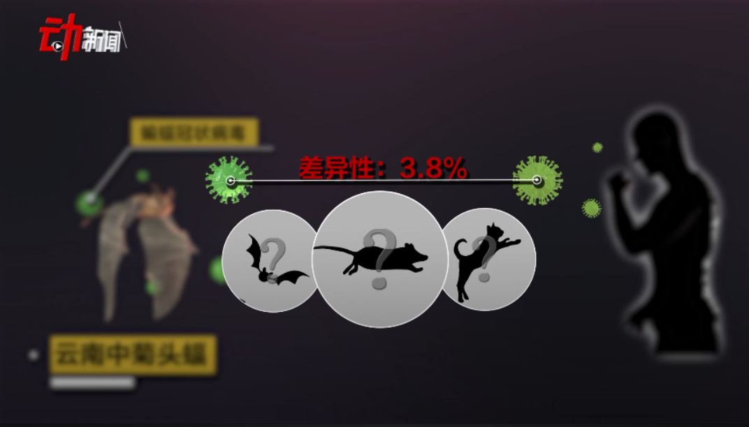 5代家族图谱5个疑似宿主新冠病毒溯源