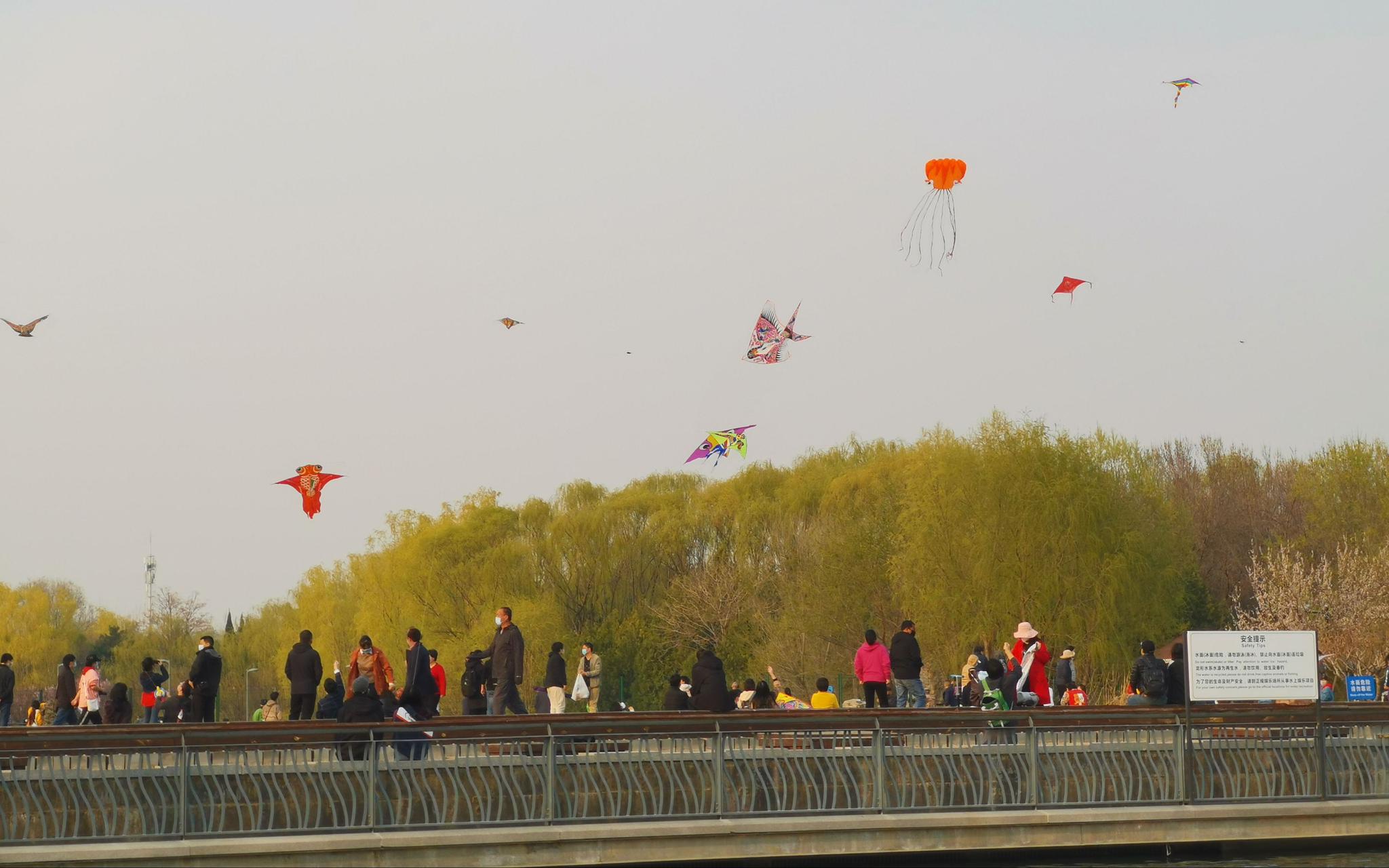 在北京奥林匹克公园龙形水系的小木桥广场上有不少市民在放风筝,美国