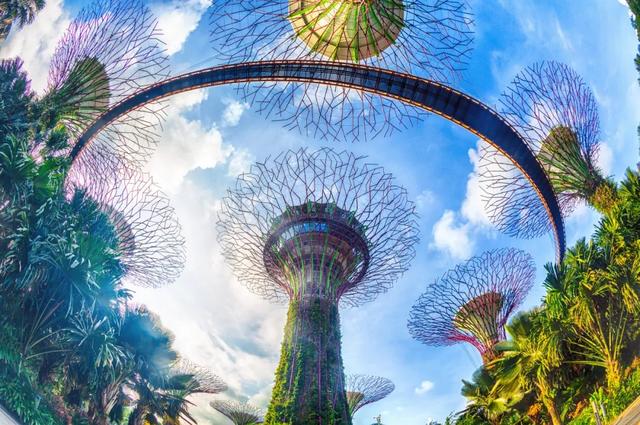沙爹肉串肉骨茶,椰浆饭