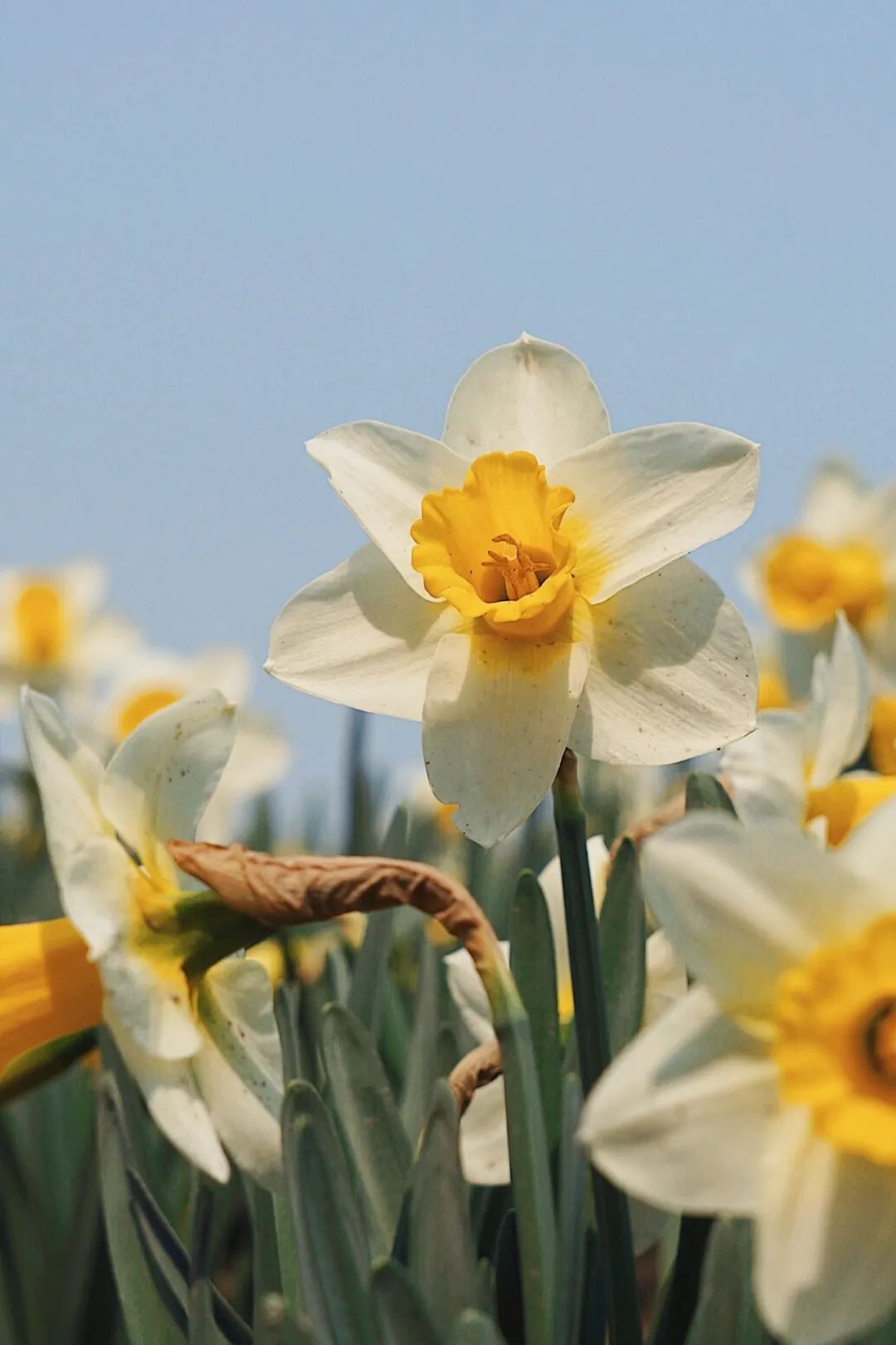 你好,3月30日 | 希望你忘记年龄,做最好的自己.
