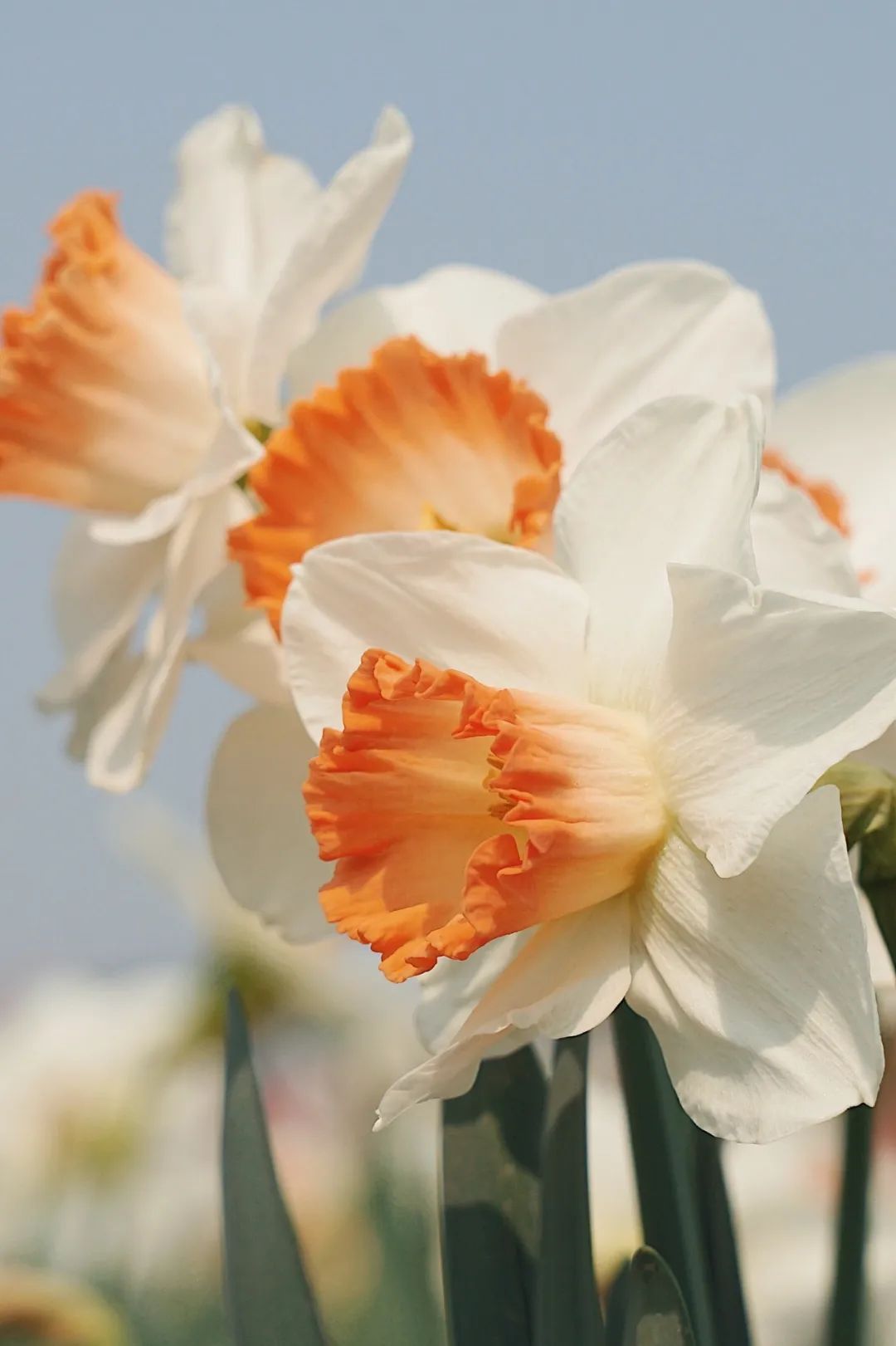 你好,3月30日 | 希望你忘记年龄,做最好的自己.