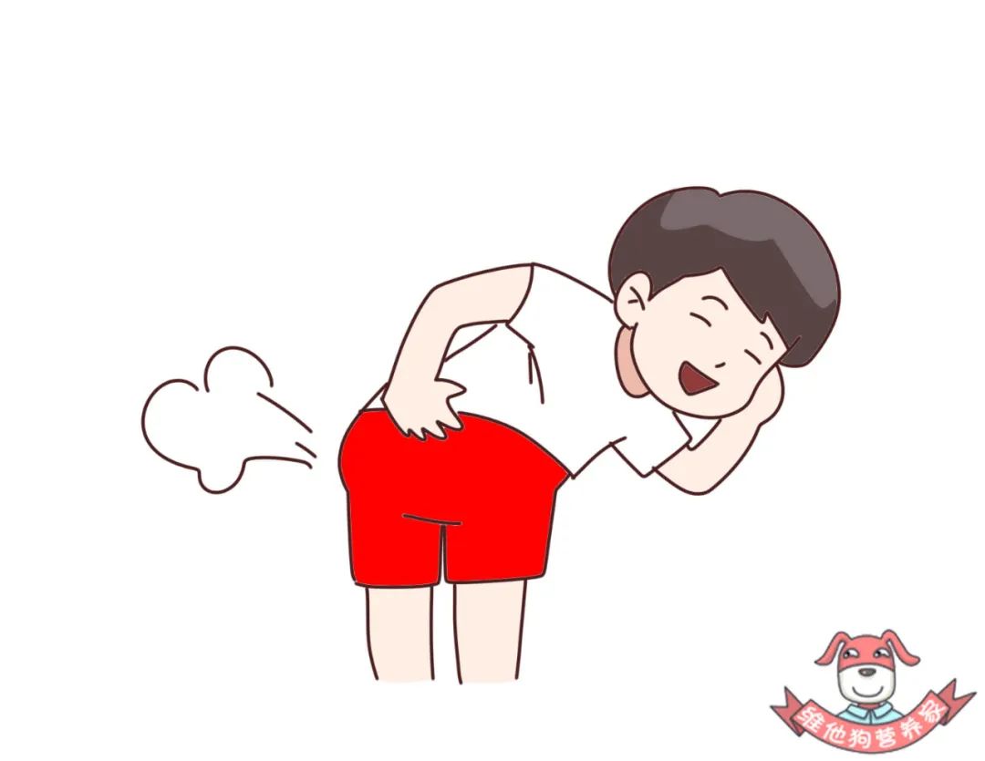 老是腹泻放屁肠道的健康调理必须先了解这几个问题