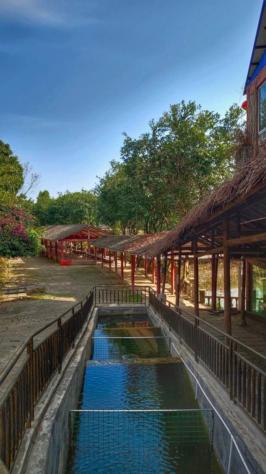 知道吗花果山生态园新建了一座超长玻璃桥还是9d的走去挑战一下