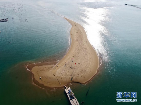 "千变"沙洲的新变化
