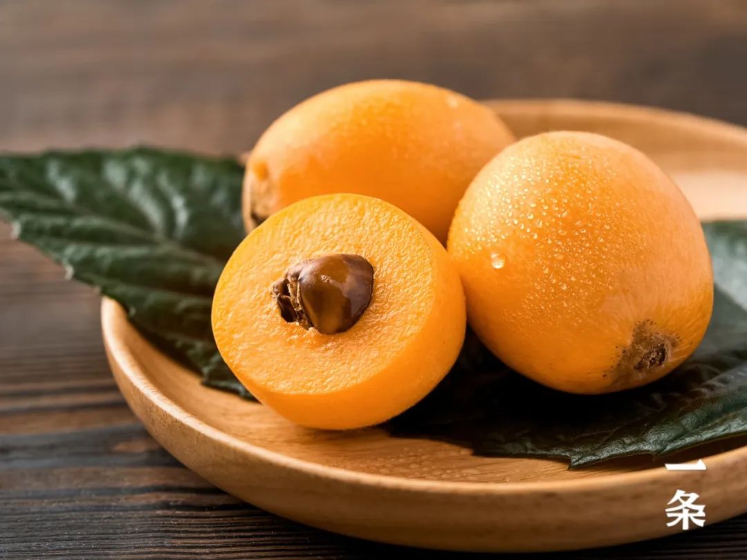 春天新鲜下树的米易枇杷,润得很!