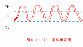 动态脉诊图来了,学脉诊不可错过