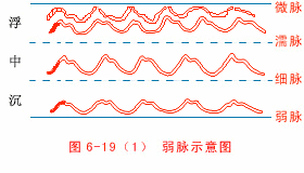 动态脉诊图来了,学脉诊不可错过