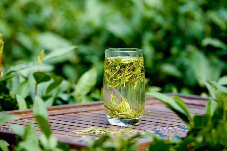 春天一杯清茶,掸去一身风尘