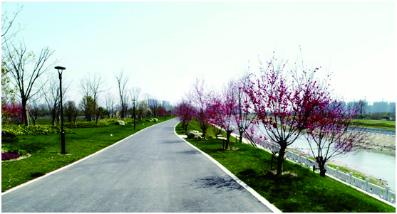 乌桕等特色植物交相辉映,以前老旧荒芜的河道已变成现代生态景观绿带