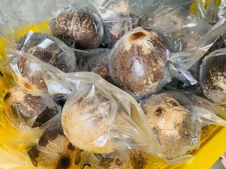 爱心助农夜校在行动part95丨集美们看过来口感像烤奶的烤椰子一定要