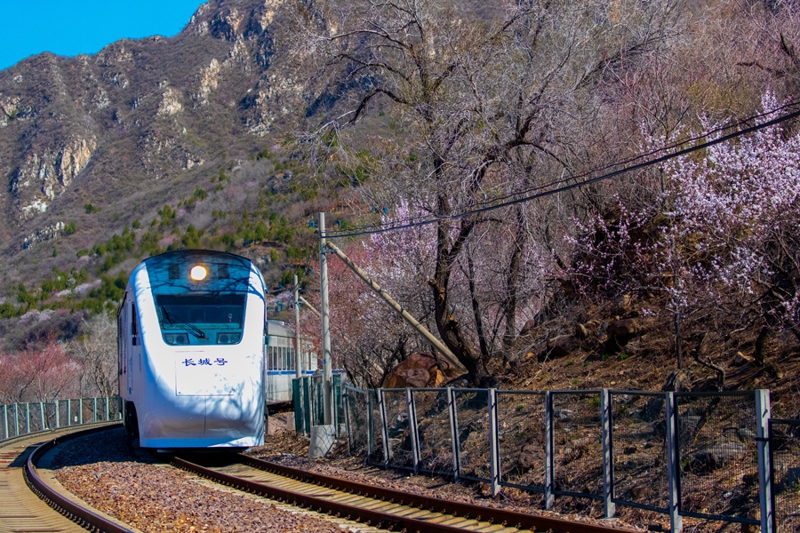 北京市郊铁路s2线沿线山花绽放