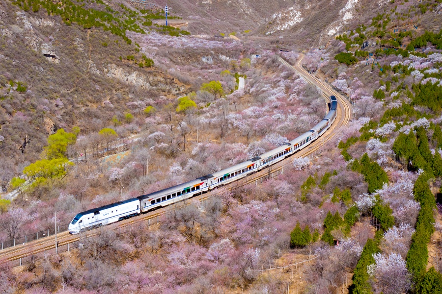 北京市郊铁路s2线沿线山花绽放|山花|铁路|工务段_新浪新闻