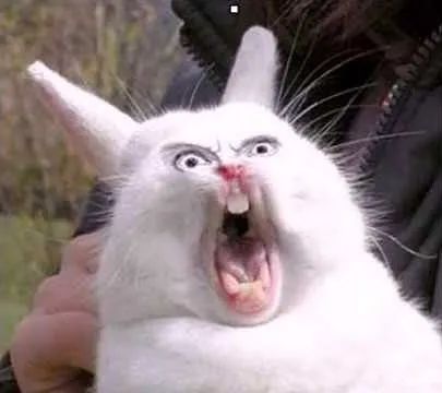 微信里的沙雕表情包居然还能这样玩