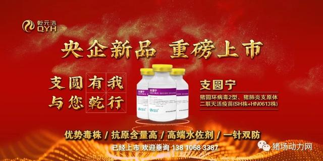 最新发现！猪、狗、鸡、鸭等家畜禽对新冠病毒不易感！猫高度易感休闲区蓝鸢梦想 - Www.slyday.coM