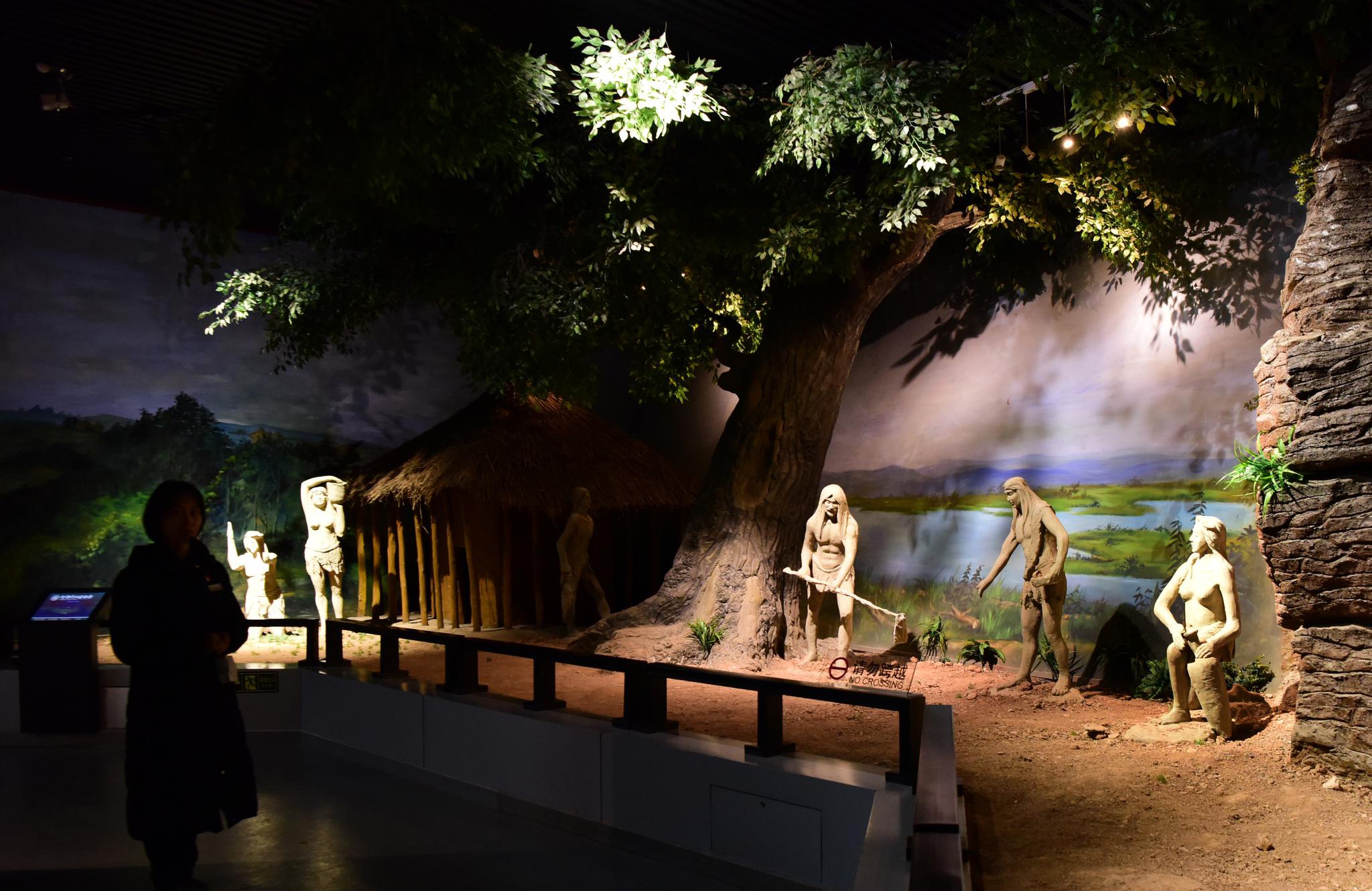 探访仰韶文化博物馆