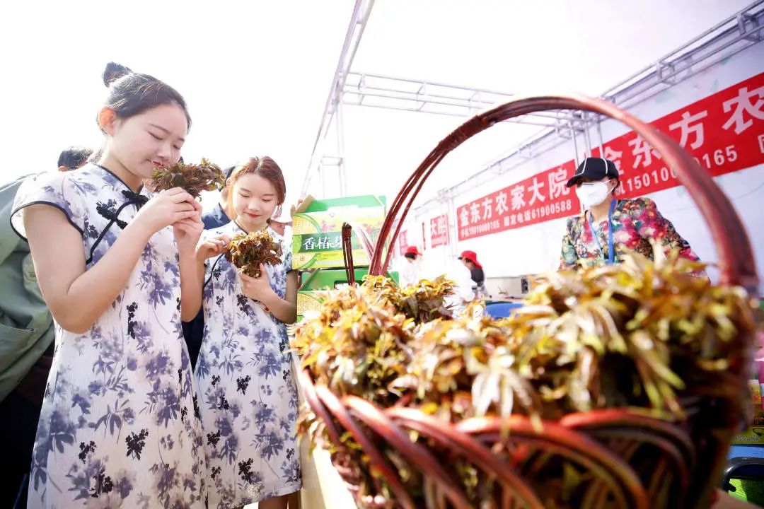 平谷峪口镇将举办第一届云端香椿文化节邀您线上赏椿