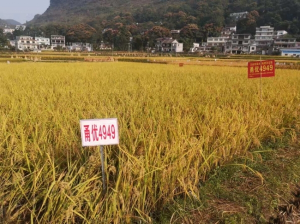 新闻搜索_新浪搜索_新浪网