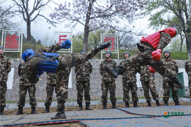 练兵丨直击武警兵哥搏击现场，太震撼了休闲区蓝鸢梦想 - Www.slyday.coM