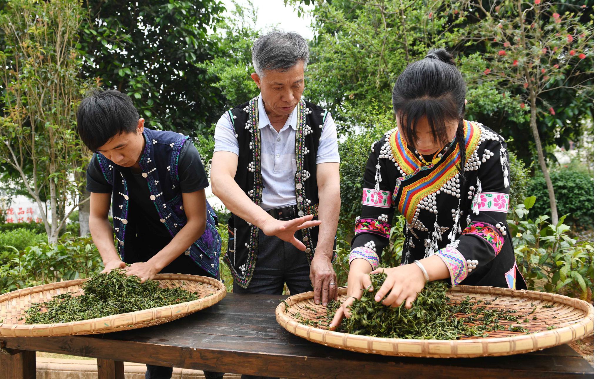 传承普洱茶制作技艺