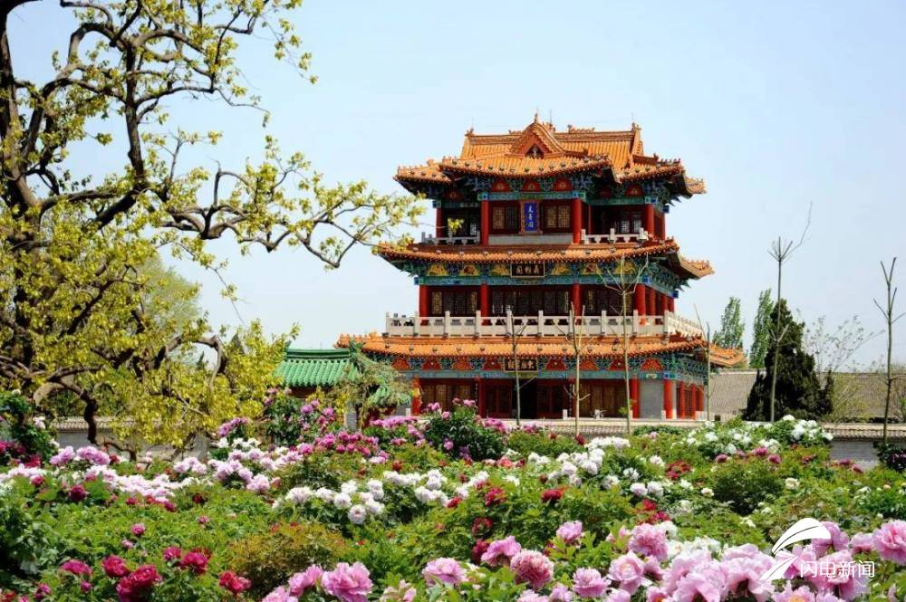 正文    >>>一年一度的济南章丘平陵古城油菜花节开幕了,节日将一直