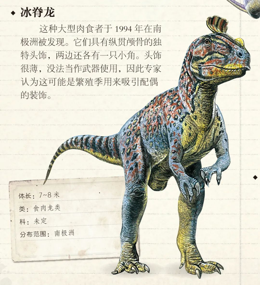 还有进化出天然头饰来吸引异性的冰脊龙.光头骨就长达1.