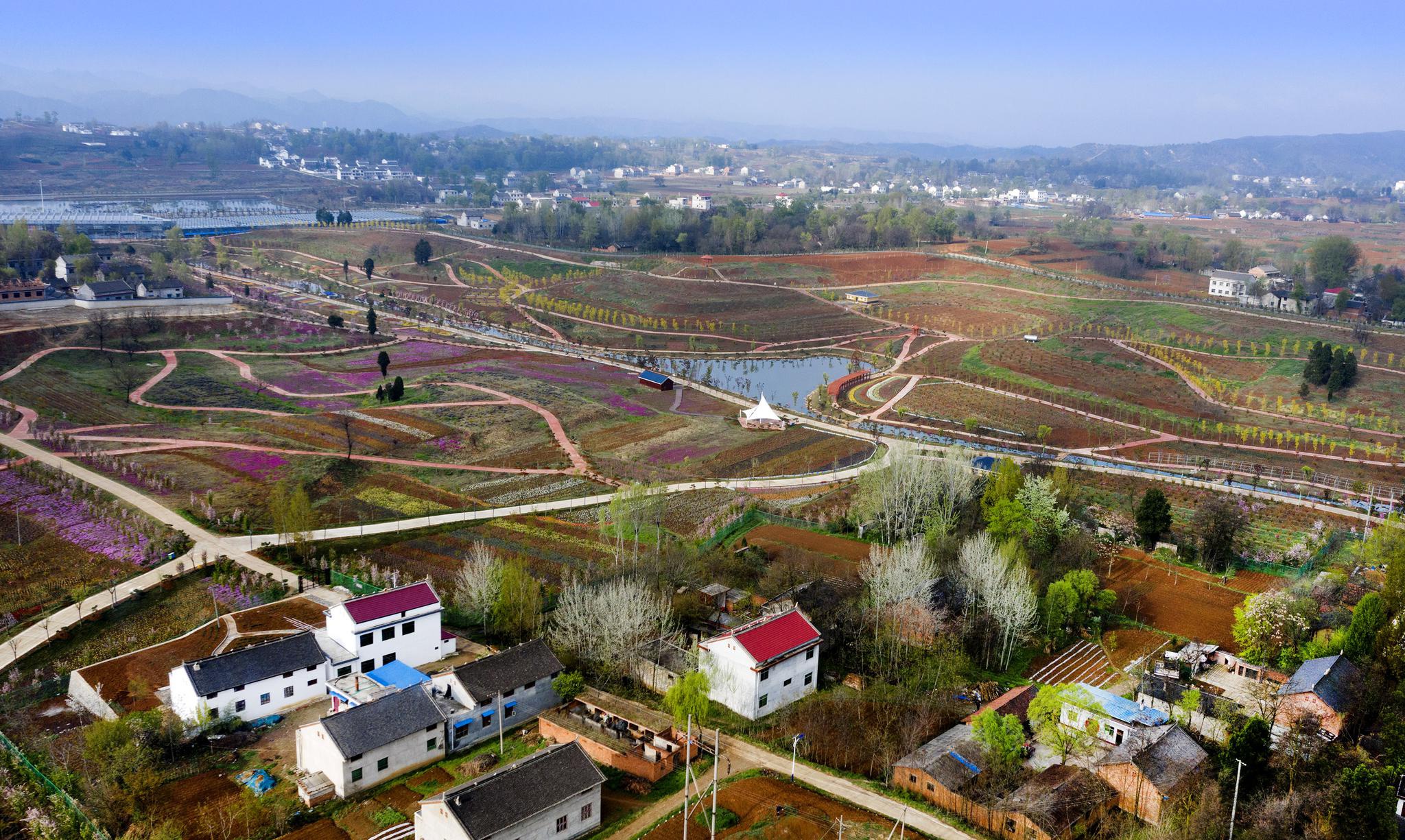 4月11日拍摄的洛南县锦绣大地花博园(无人机照片).
