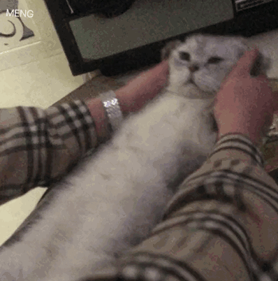 398_402gif 动态图 动图