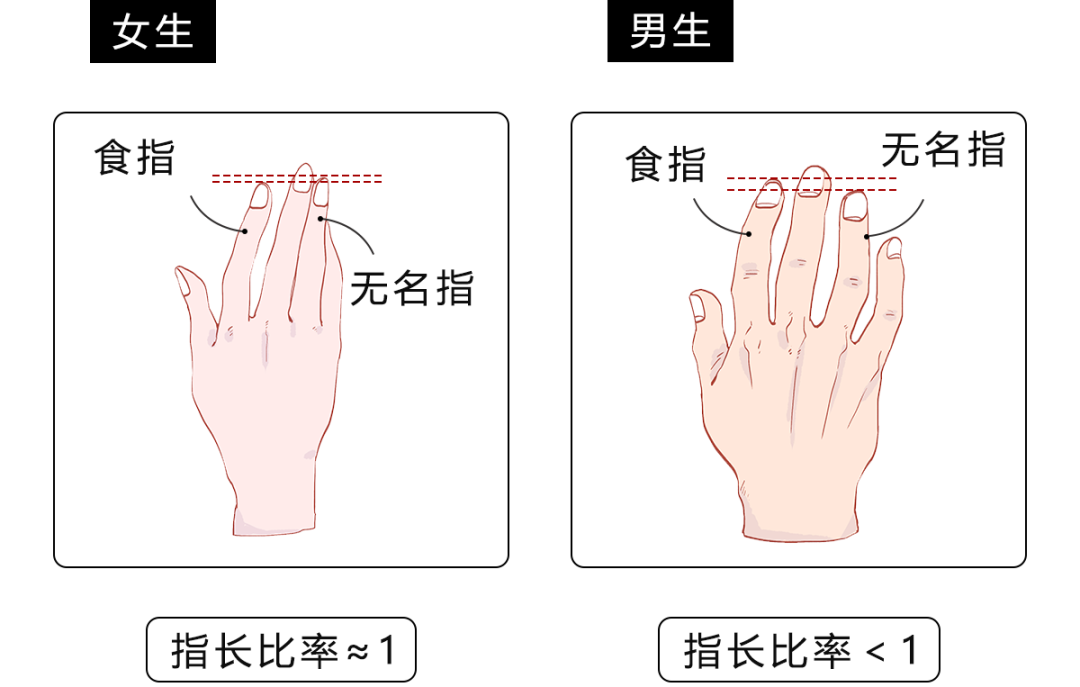 为什么男朋友要找手指长的