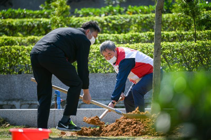广州12家经营性墓园推广骨灰植树还林,明年清明或可安葬首批骨灰