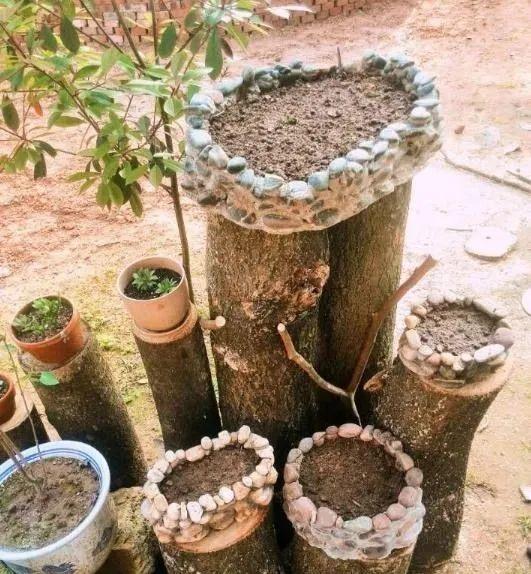 春天从河边捡些鹅卵石自制个性花盆