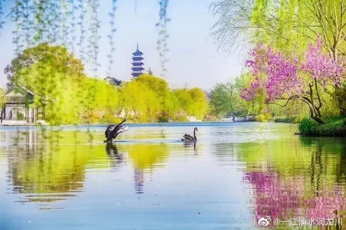 看扬州的春天藏在湖水的倒影里