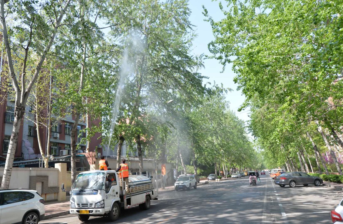 治理杨柳飞絮,北京部分路段今天喷水喷湿|飞絮|柳絮_新浪新闻