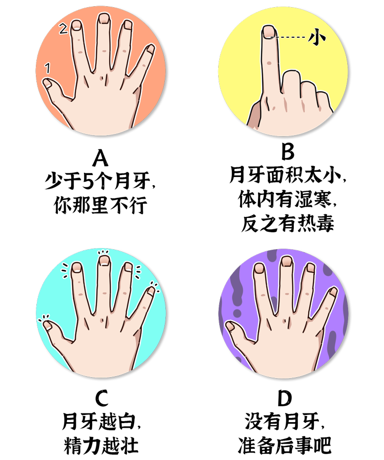 手指上月牙越多生育能力越强