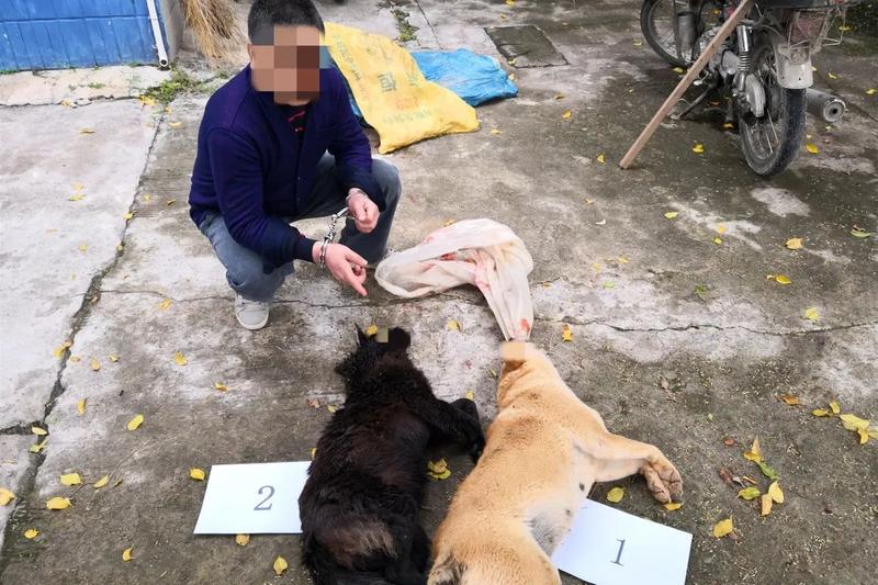 偷狗贼光天化日进村偷狗,被村民抓个现行