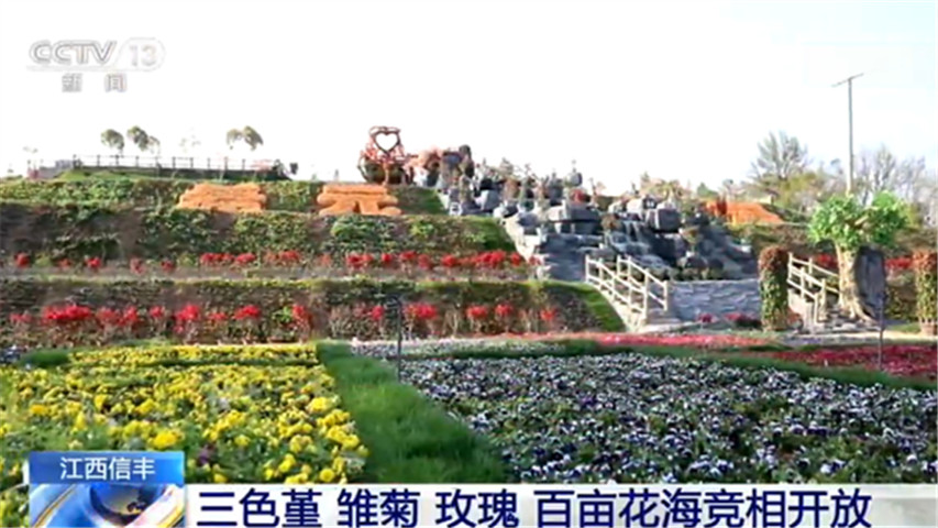 百花争艳的美景 各地不少花儿进入盛花期 新浪新闻 百花争艳的美景 各地不少花儿进入盛花期 新浪新闻